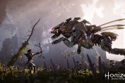 horizon zero dawn Aloy wall