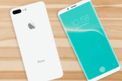 iphone 8 oled