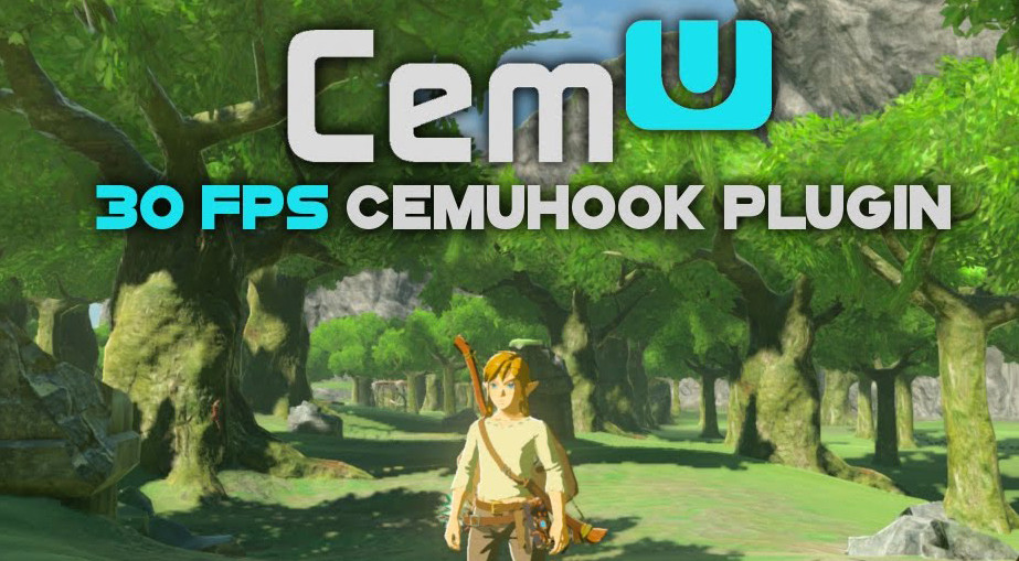 cemuhook plugin