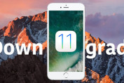 guide downgrade iOS 11