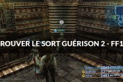 FINAL FANTASY Ⅻ THE ZODIAC AGE guerison 2