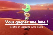 guide-lune-22-volatile-en-vadrouille-sur-le-marais-mario-00