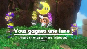guide-lune-24-pays-des-chutes-mario-odyssey-03