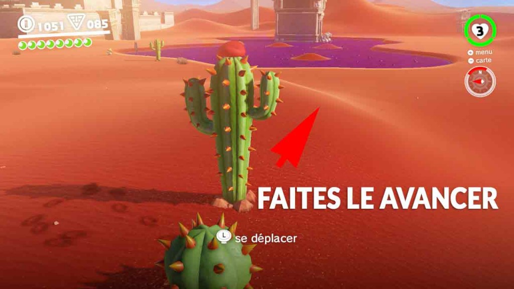 guide-lune-40-pays-des-sables-marche-du-cactus-03