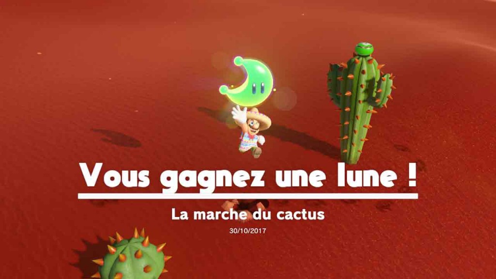guide-lune-40-pays-des-sables-marche-du-cactus-05