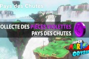 guide-piece-violettes-Pays-Chutes-mario-odyssey