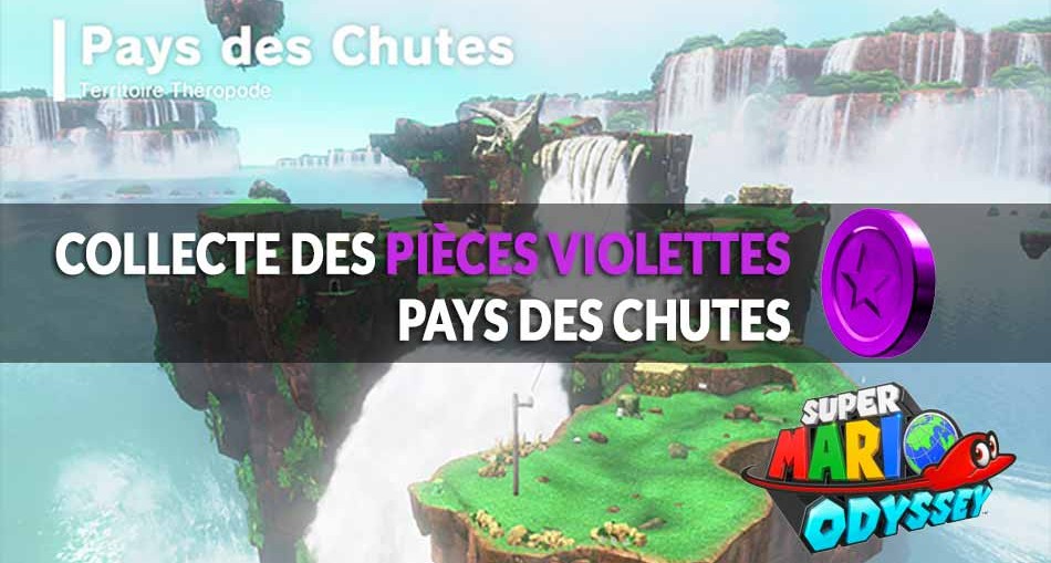 guide-piece-violettes-Pays-Chutes-mario-odyssey