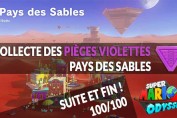 guide-pieces-voilettes-pays-des-sables-mario-odyssey-100sur100