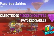 guide-pieces-voilettes-pays-des-sables-mario-odyssey