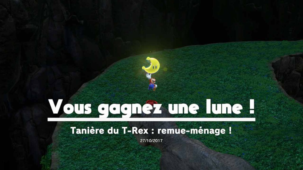 lune-13-pays-des-chutes-mario-odyssey-06