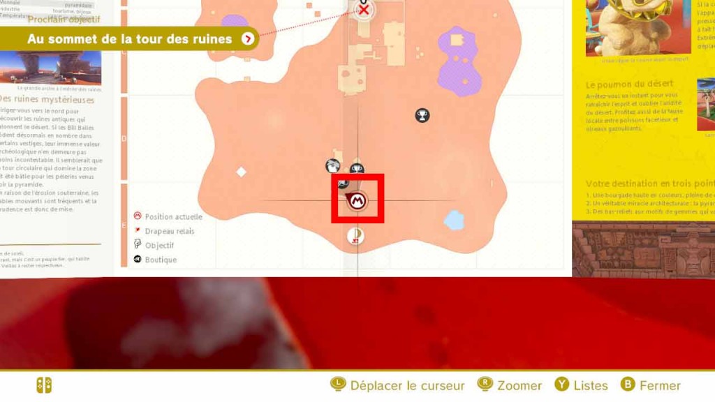 pieces-violettes-guide-pays-des-sables-mario-odyssey-01