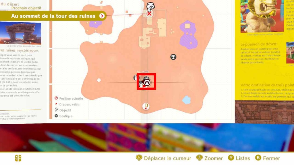 pieces-violettes-guide-pays-des-sables-mario-odyssey-03