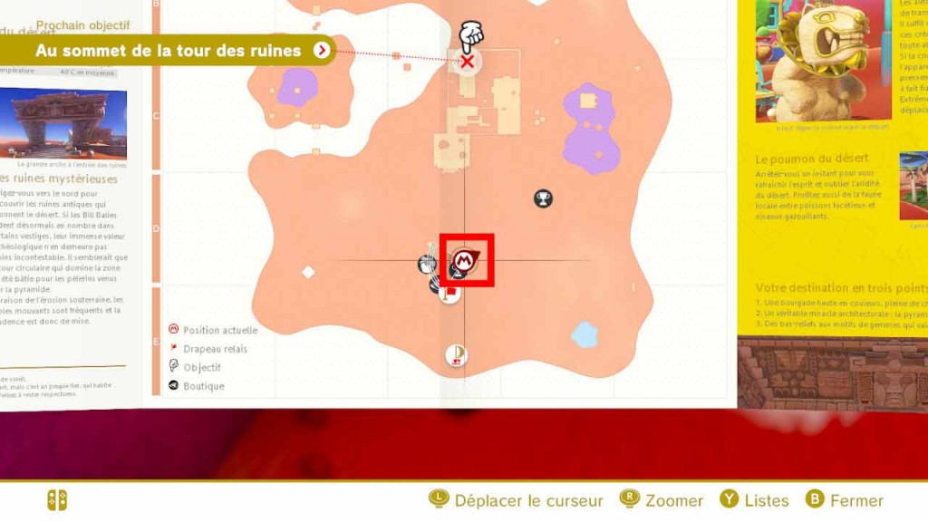 pieces-violettes-guide-pays-des-sables-mario-odyssey-05