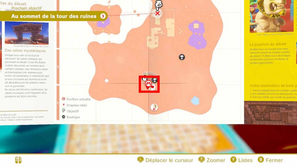 pieces-violettes-guide-pays-des-sables-mario-odyssey-07