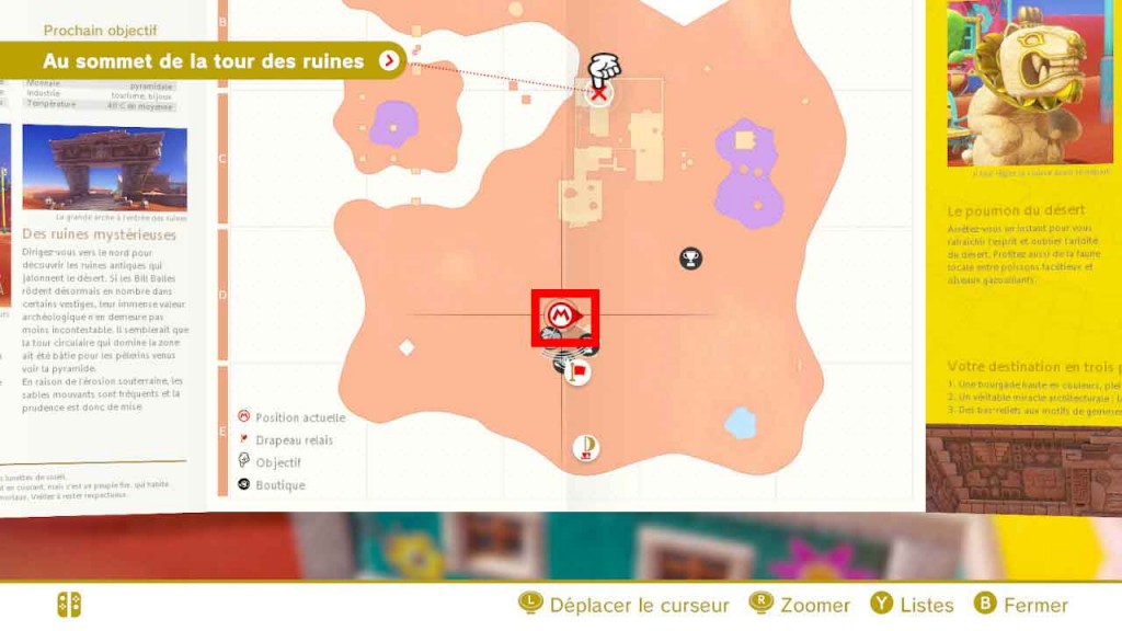 pieces-violettes-guide-pays-des-sables-mario-odyssey-10