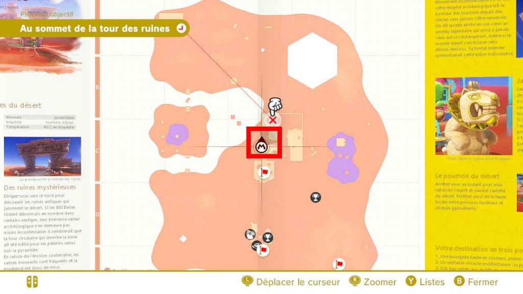 pieces-violettes-guide-pays-des-sables-mario-odyssey-16