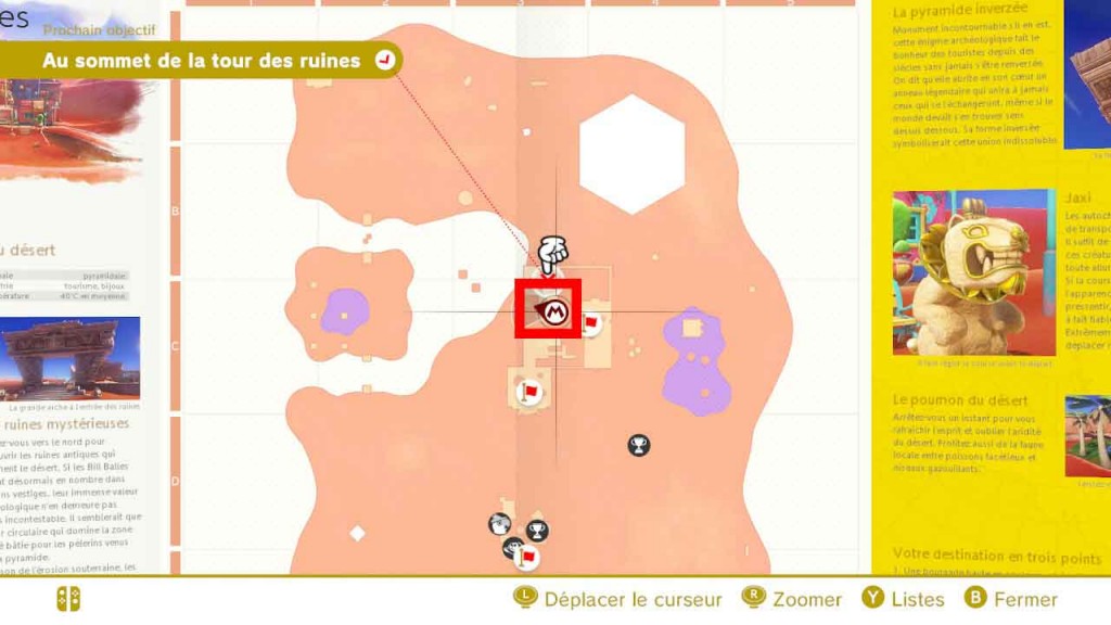 pieces-violettes-guide-pays-des-sables-mario-odyssey-18