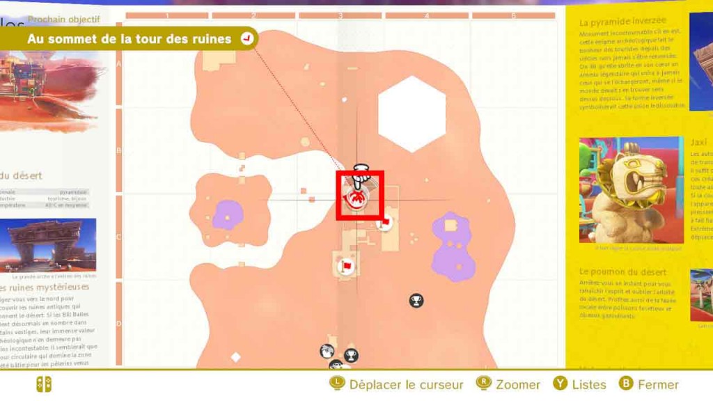 pieces-violettes-guide-pays-des-sables-mario-odyssey-22