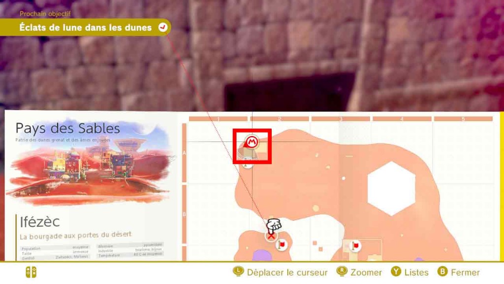 pieces-violettes-guide-pays-des-sables-mario-odyssey-31