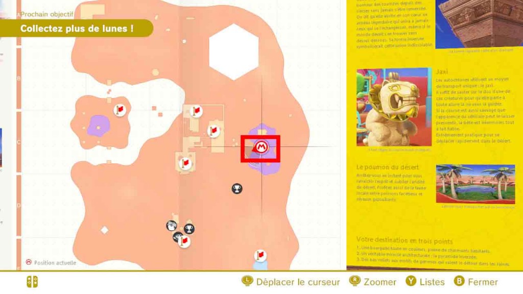 pieces-violettes-guide-pays-des-sables-mario-odyssey-51