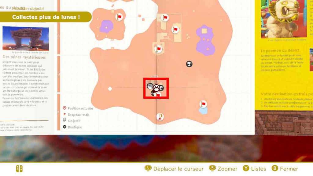 pieces-violettes-guide-pays-des-sables-mario-odyssey-54