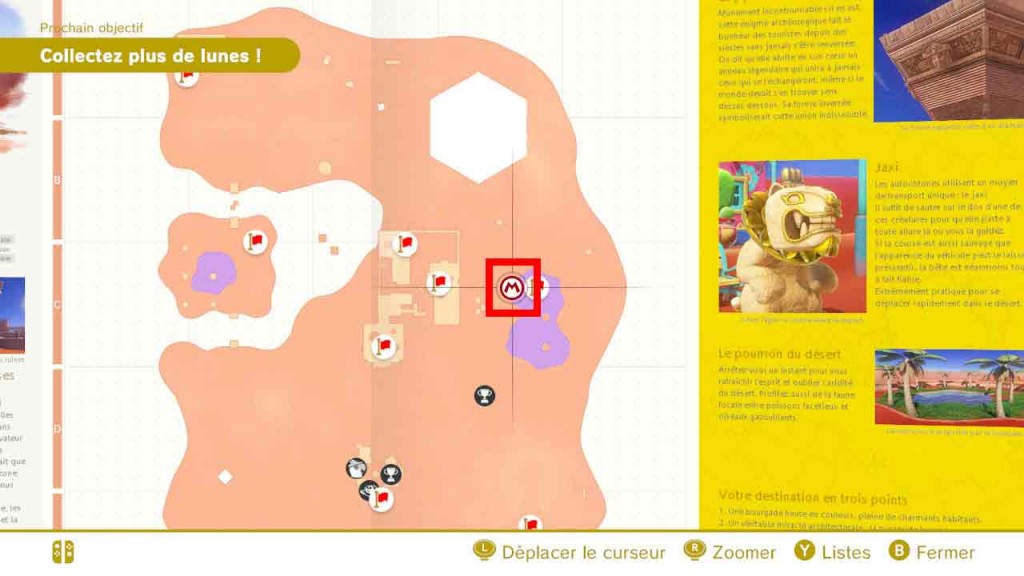 pieces-violettes-guide-pays-des-sables-mario-odyssey-67