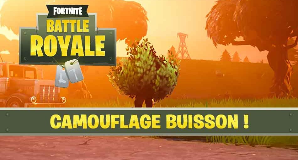 camouflage-buisson-fortnite-battle-royale