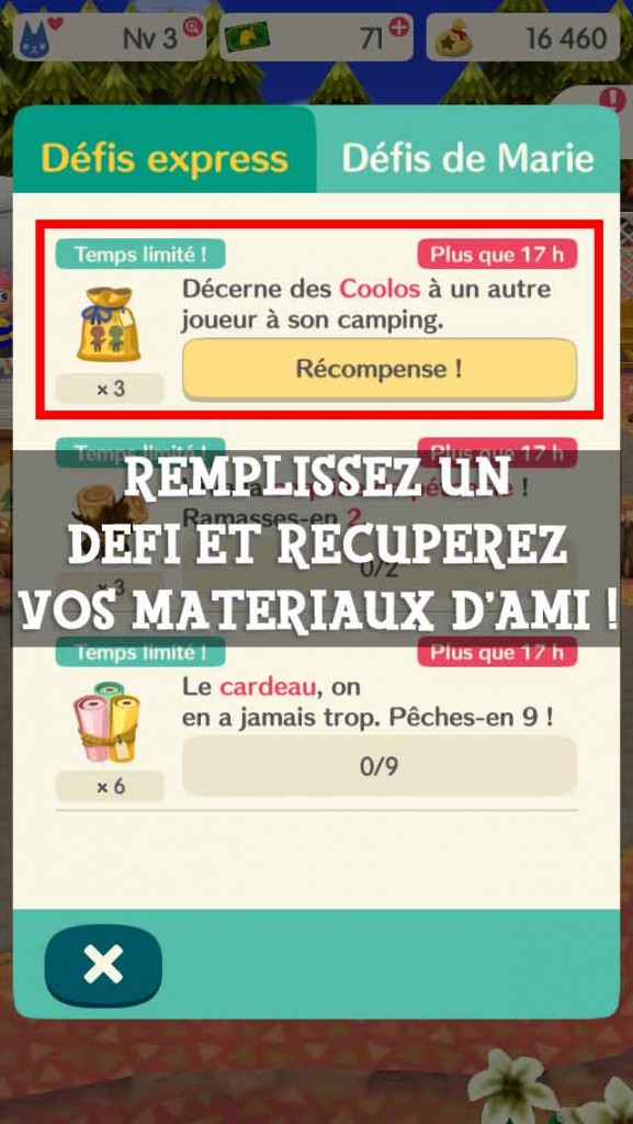 defi-materiaux-ami-pocket-camp-02