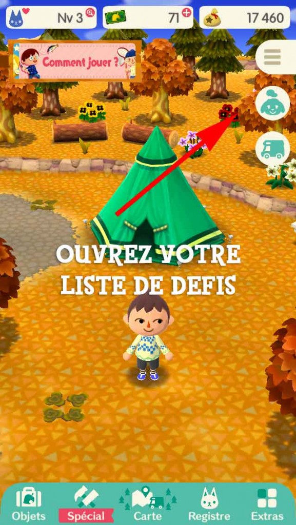 defi-materiaux-ami-pocket-camp