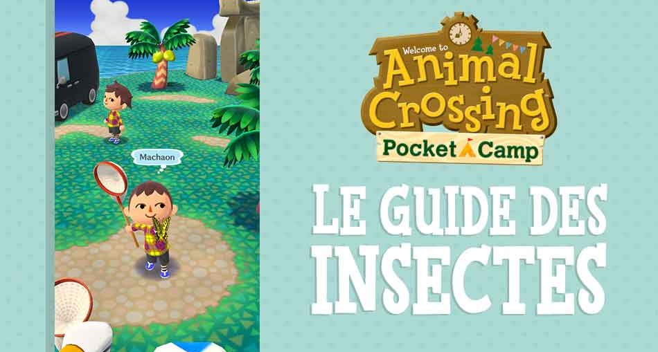 guide-insectes-animal-crossing-pocket-camp