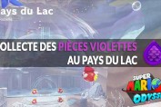 guide-piece-violettes-mario-odyssey-pays-du-lac-01