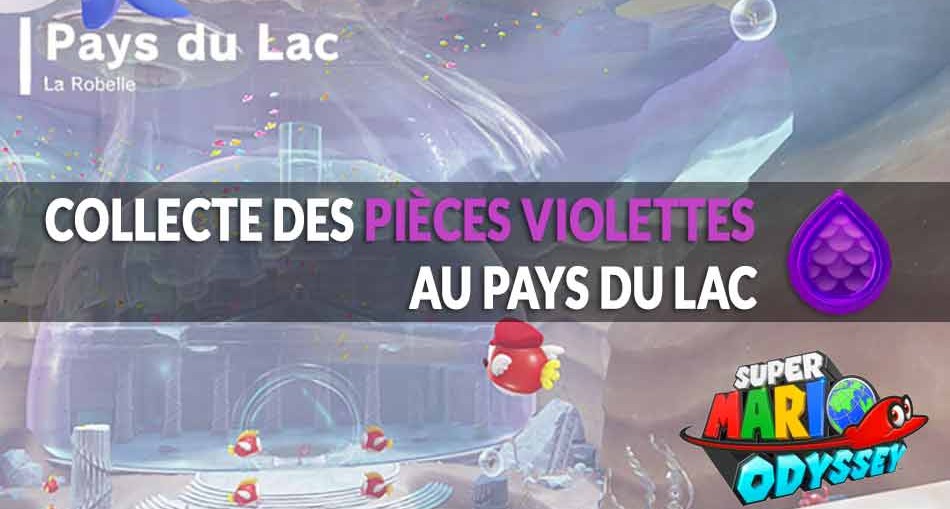 guide-piece-violettes-mario-odyssey-pays-du-lac-01