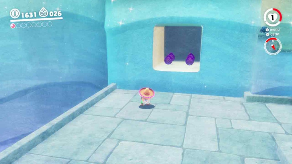 guide-piece-violettes-mario-odyssey-pays-du-lac-18