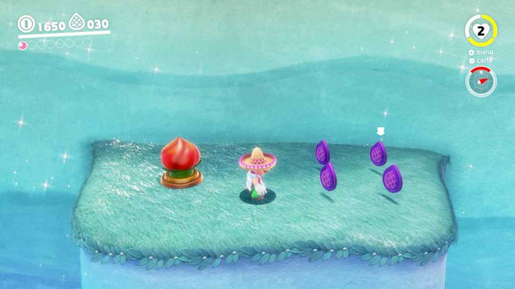 guide-piece-violettes-mario-odyssey-pays-du-lac-20