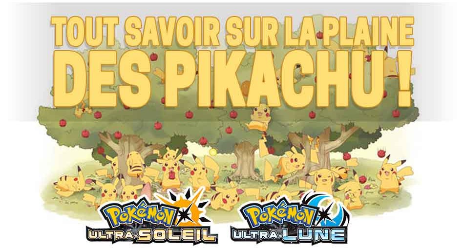 Pokemon Ultra Soleil Et Lune à Quoi Sert La Plaine Des