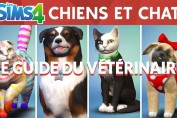 guide-sims-4-chiens-et-chats-clinique-veterinaire