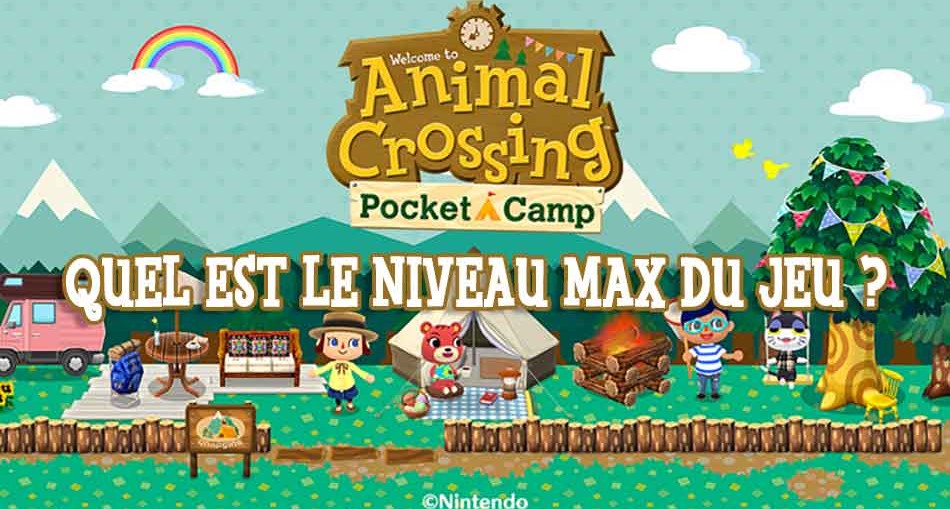 quel-niveau-max-animal-crossing-pocket-camp