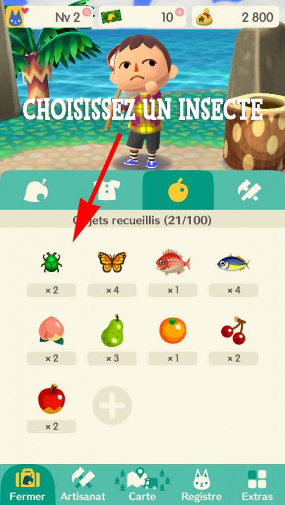 vendre-insecte-animal-crossing-pocket-camp-01