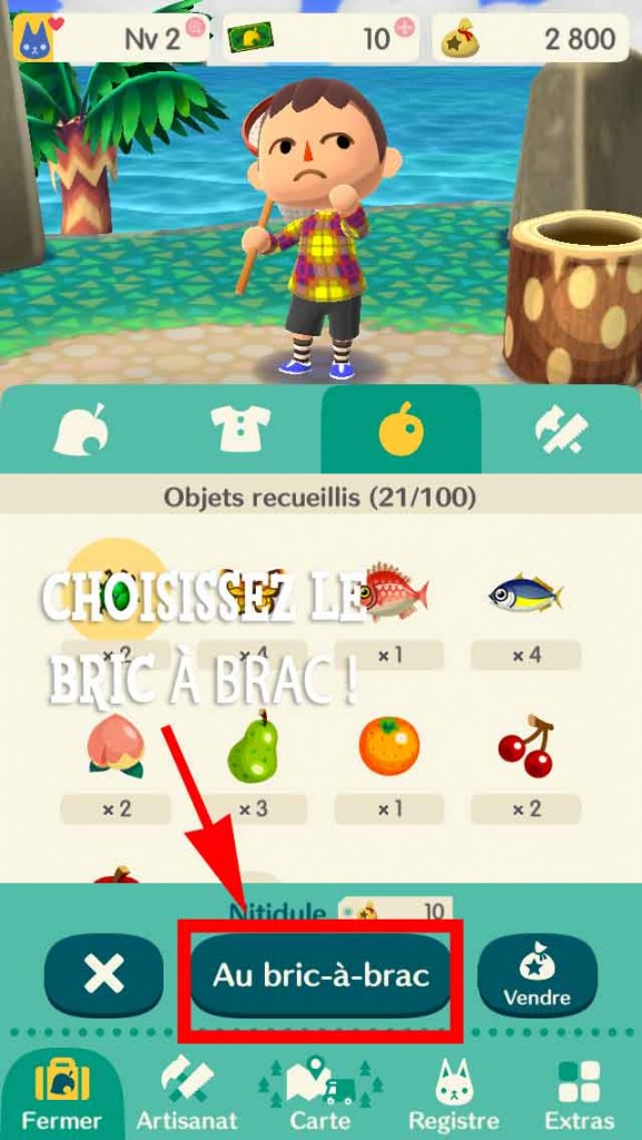 vendre-insecte-animal-crossing-pocket-camp-02