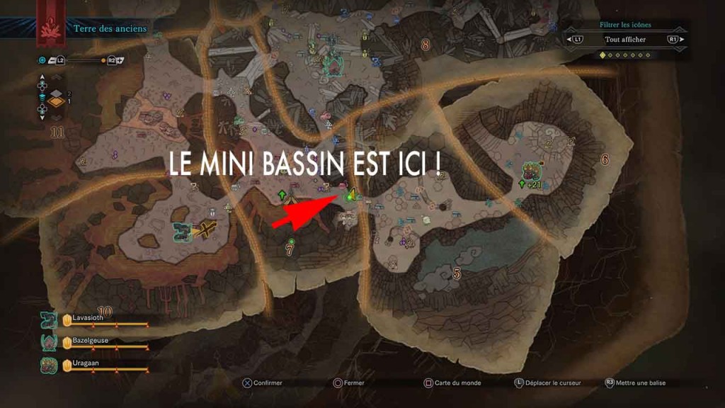 bassin-poisson-platine-monster-hunter-world