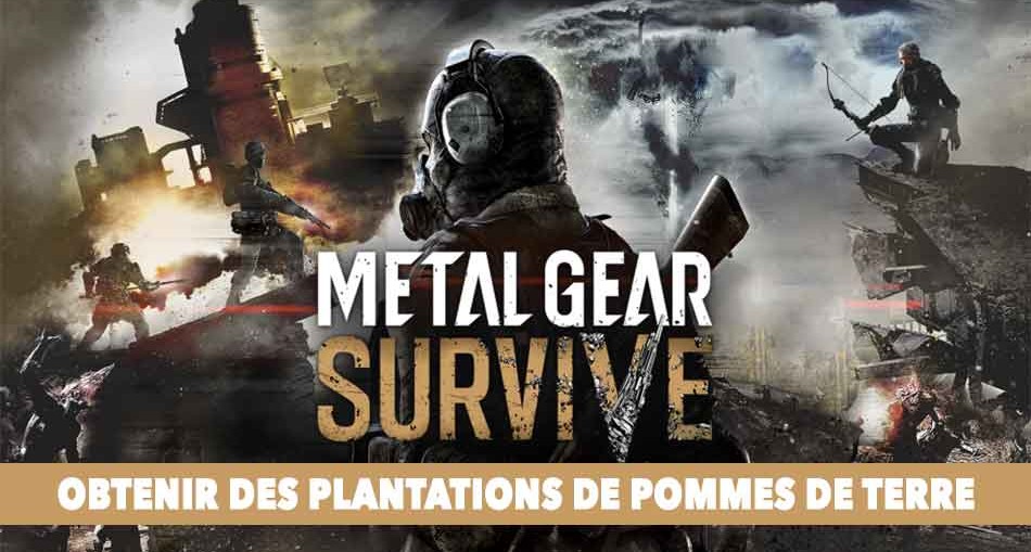 nourriture-pommes-de-terre-metal-gear-survive