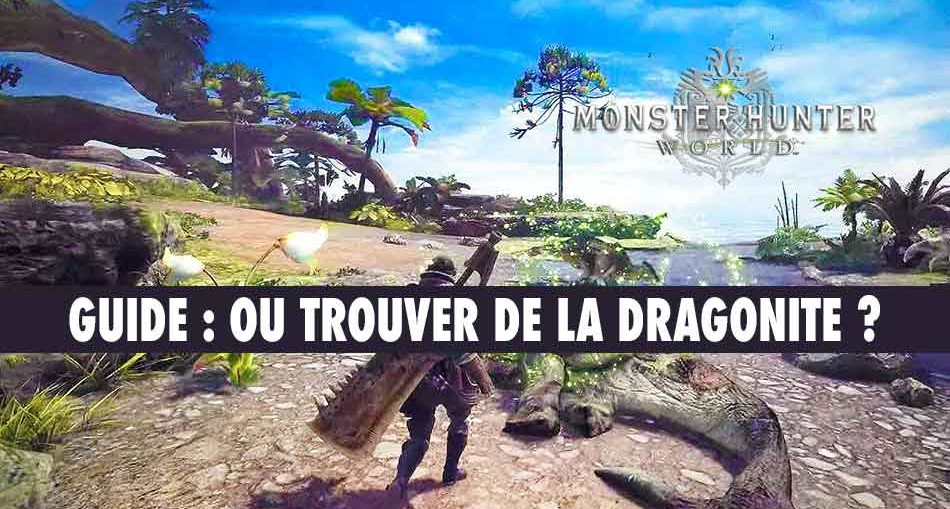 obtenir-de-la-dragonite-monster-hunter-world
