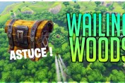 guide-defi-coffres-wailing-woods-fortnite-saison-3