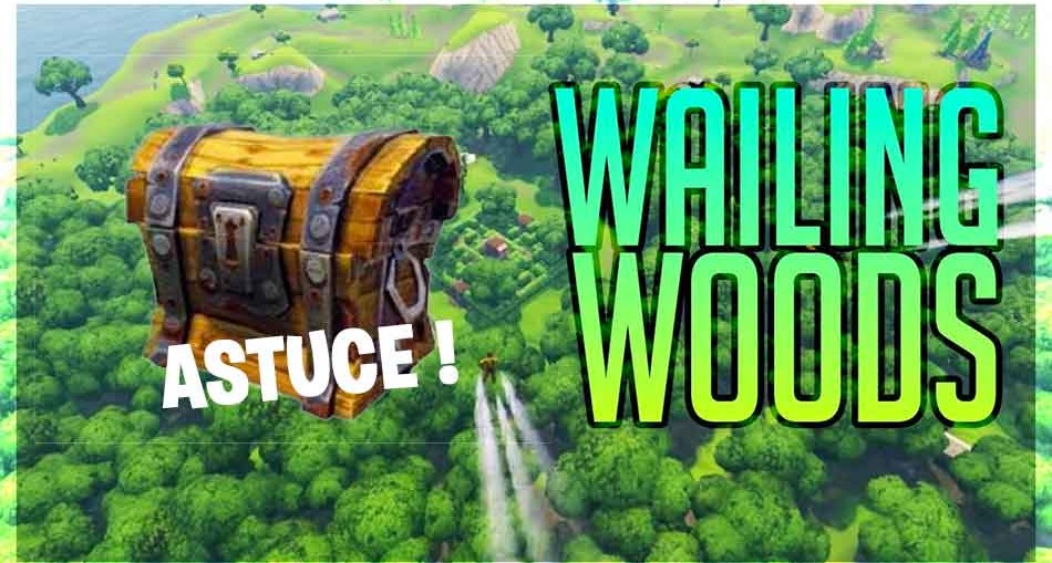 guide-defi-coffres-wailing-woods-fortnite-saison-3