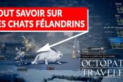 chat-felandrin-rare-octopath-traveler