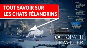 chat-felandrin-rare-octopath-traveler