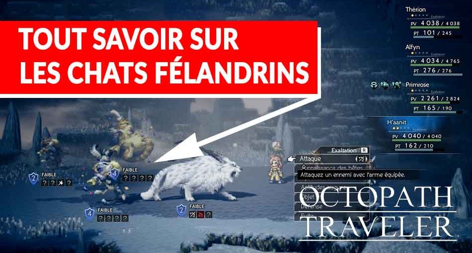 chat-felandrin-rare-octopath-traveler