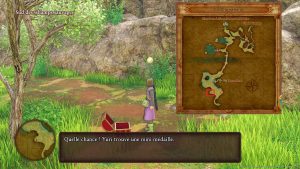 22-dragon-quest-11-mini-medaille-champs-sauvages