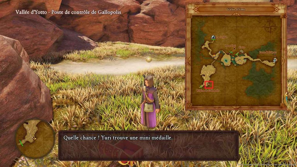 dragon-quest-11-mini-medaille-6-vallee-yotto