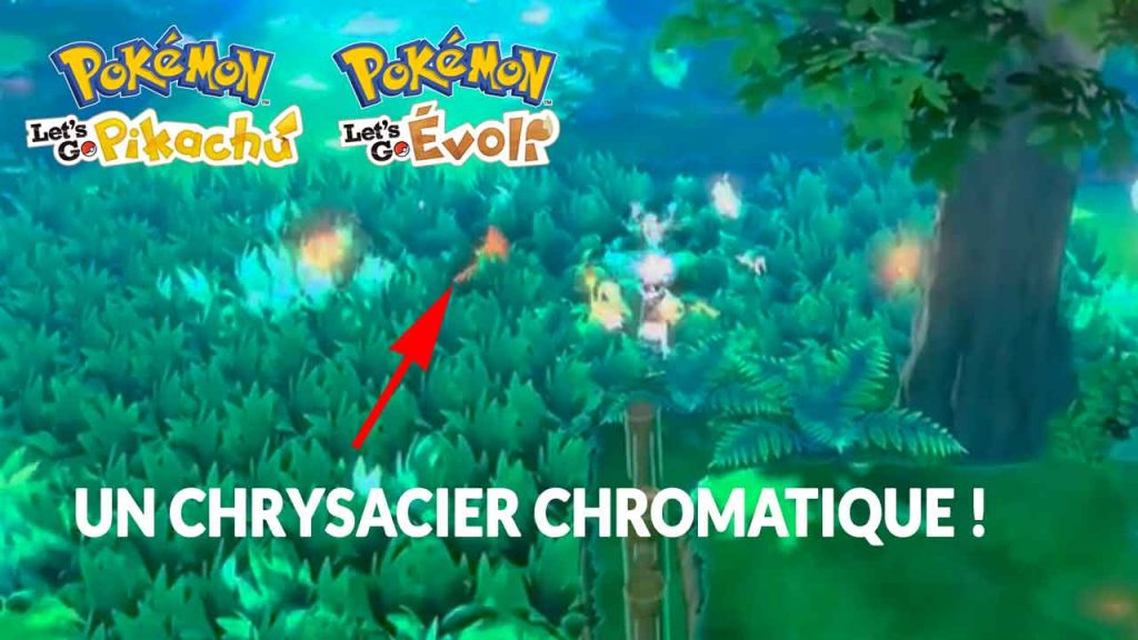 pokemon-lets-go-pikachu-evoli-chromatique-shiny